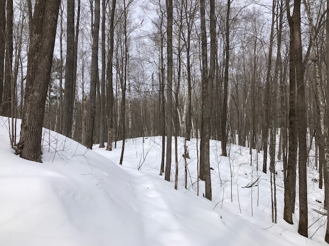 Winter Hiking 1